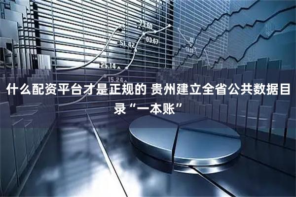 什么配资平台才是正规的 贵州建立全省公共数据目录“一本账”